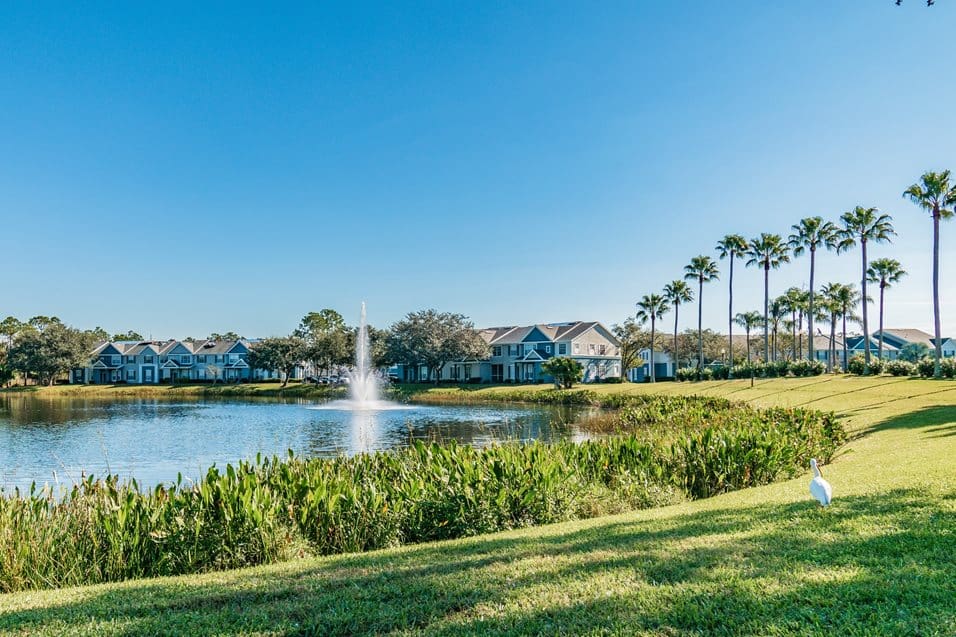 **Alt Text Description:** Scenic view of a residential apartment community surrounding a peaceful lake with a central fountain. The lake is bordered by manicured grassy areas, lush aquatic plants, and a row of tall, slender palm trees on the right side, enhancing the tropical ambiance. Townhome-style buildings with blue and gray exteriors line the far side of the lake, partially shaded by mature trees. A white egret is visible in the foreground near the water’s edge, adding a natural touch to the serene setting. The clear blue sky and well-maintained landscape contribute to the tranquil and inviting atmosphere of the community.